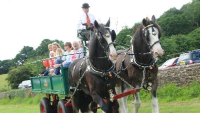 Dray Rides - W.J.Medhurst photo