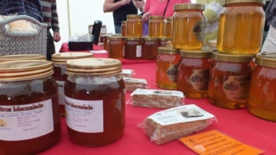 Reigate beekeepers photo