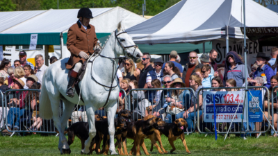 Kent and Surrey Bloodhounds photo