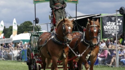 W.J. Medhurst, Dray Rides with Suffolk Punch Horses photo