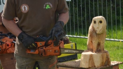 Bruks carving shop - chainsaw carving photo